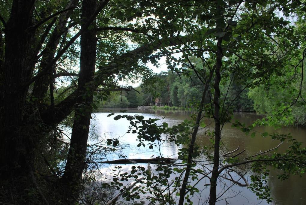 Paradis Perdu En Sologne Avec Plage Privee Villeny Exterior photo